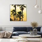 Morning Palm Tree I by Rick Novak on GIANT ART - yellow tropical