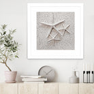 Little Treasures by Irena Orlov on GIANT ART - grey nautical