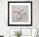 Little Treasures by Irena Orlov on GIANT ART - grey nautical