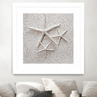 Little Treasures by Irena Orlov on GIANT ART - grey nautical