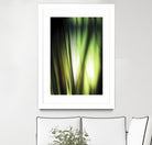 Organic I by PI Studio on GIANT ART - black photo art