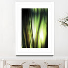 Organic I by PI Studio on GIANT ART - black photo art