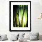 Organic I by PI Studio on GIANT ART - black photo art