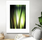 Organic I by PI Studio on GIANT ART - black photo art