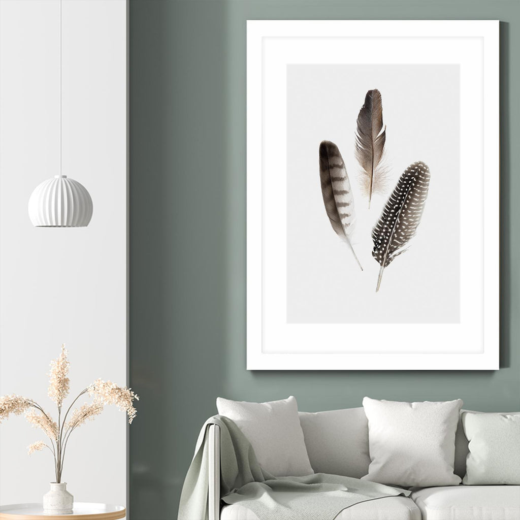Feathers I by PI Studio on GIANT ART - brown animals