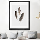 Feathers I by PI Studio on GIANT ART - brown animals