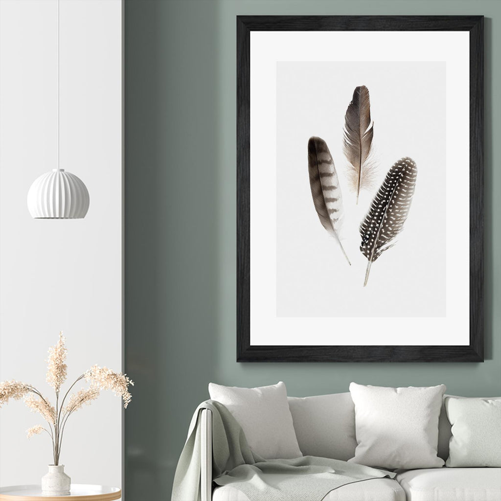 Feathers I by PI Studio on GIANT ART - brown animals