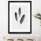 Feathers I by PI Studio on GIANT ART - brown animals