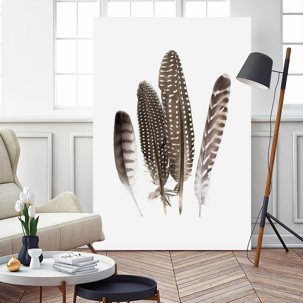 Feathers II par PI Studio sur GIANT ART - animaux bruns