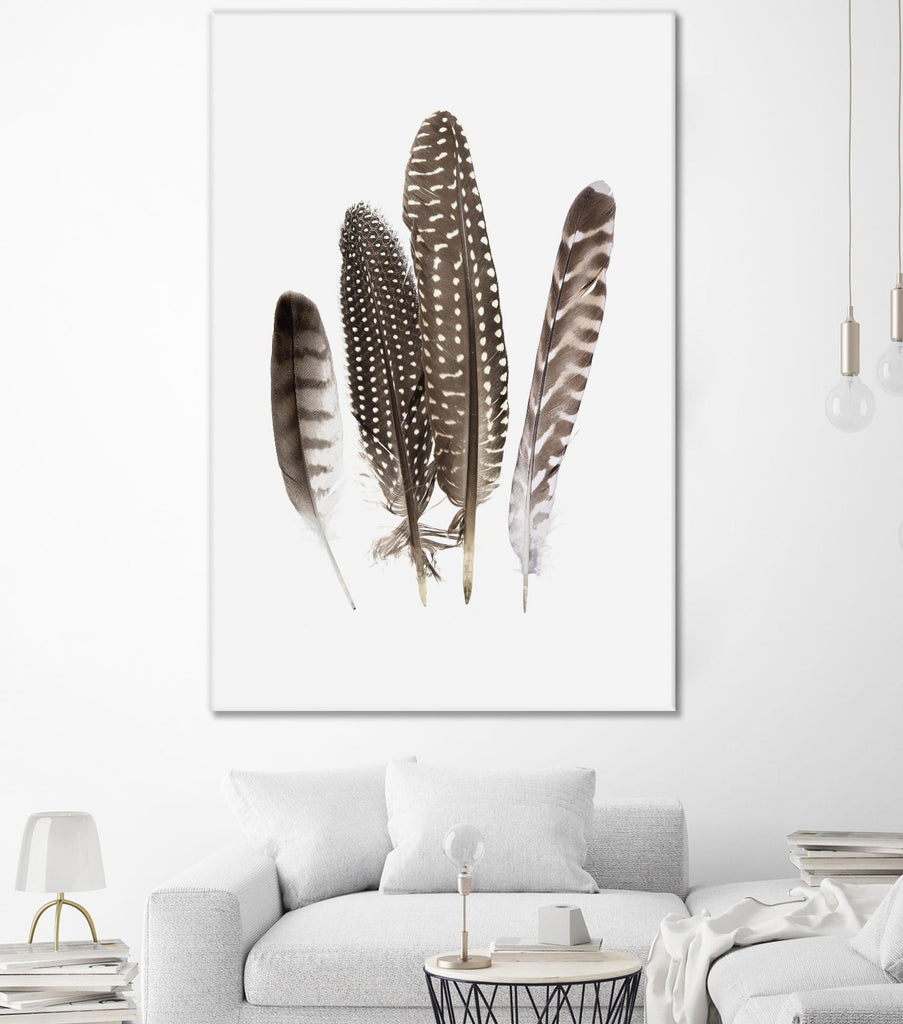 Feathers II by PI Studio on GIANT ART - brown animals
