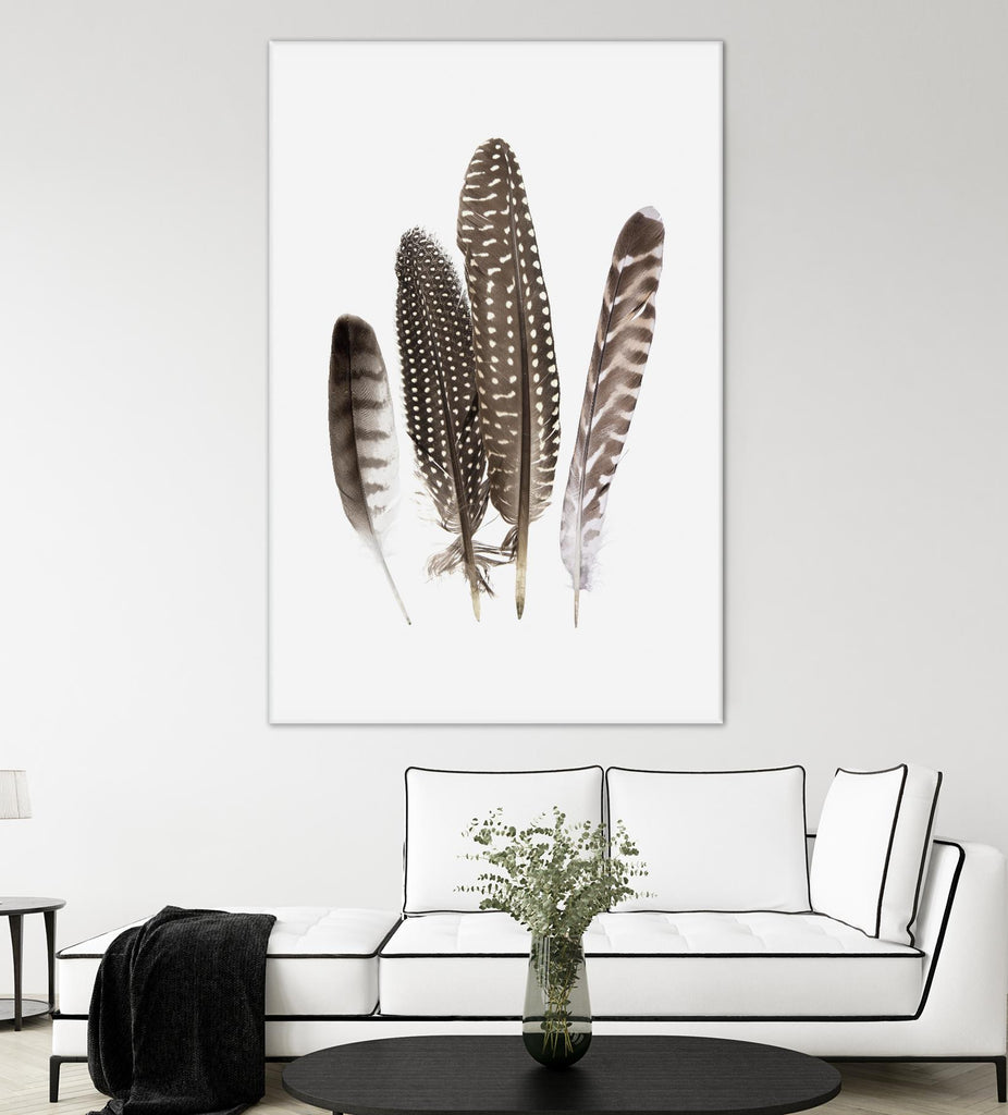Feathers II by PI Studio on GIANT ART - brown animals