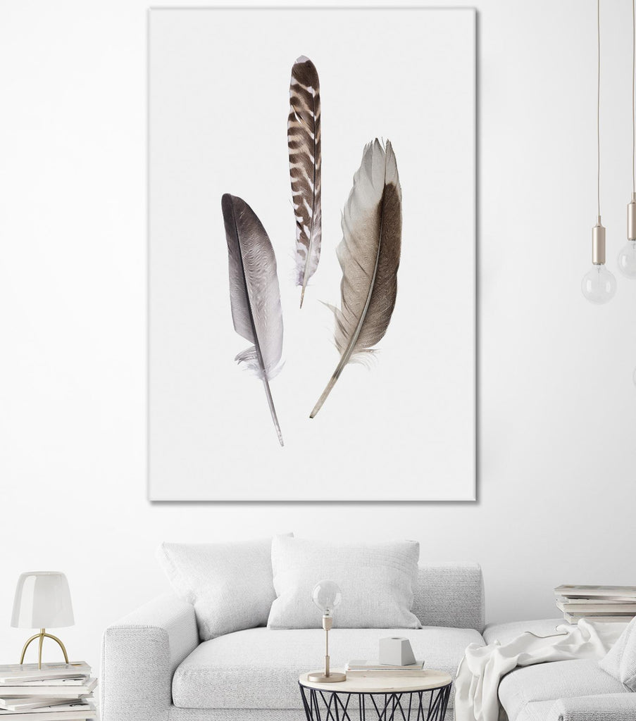 Feathers III by PI Studio on GIANT ART - brown animals