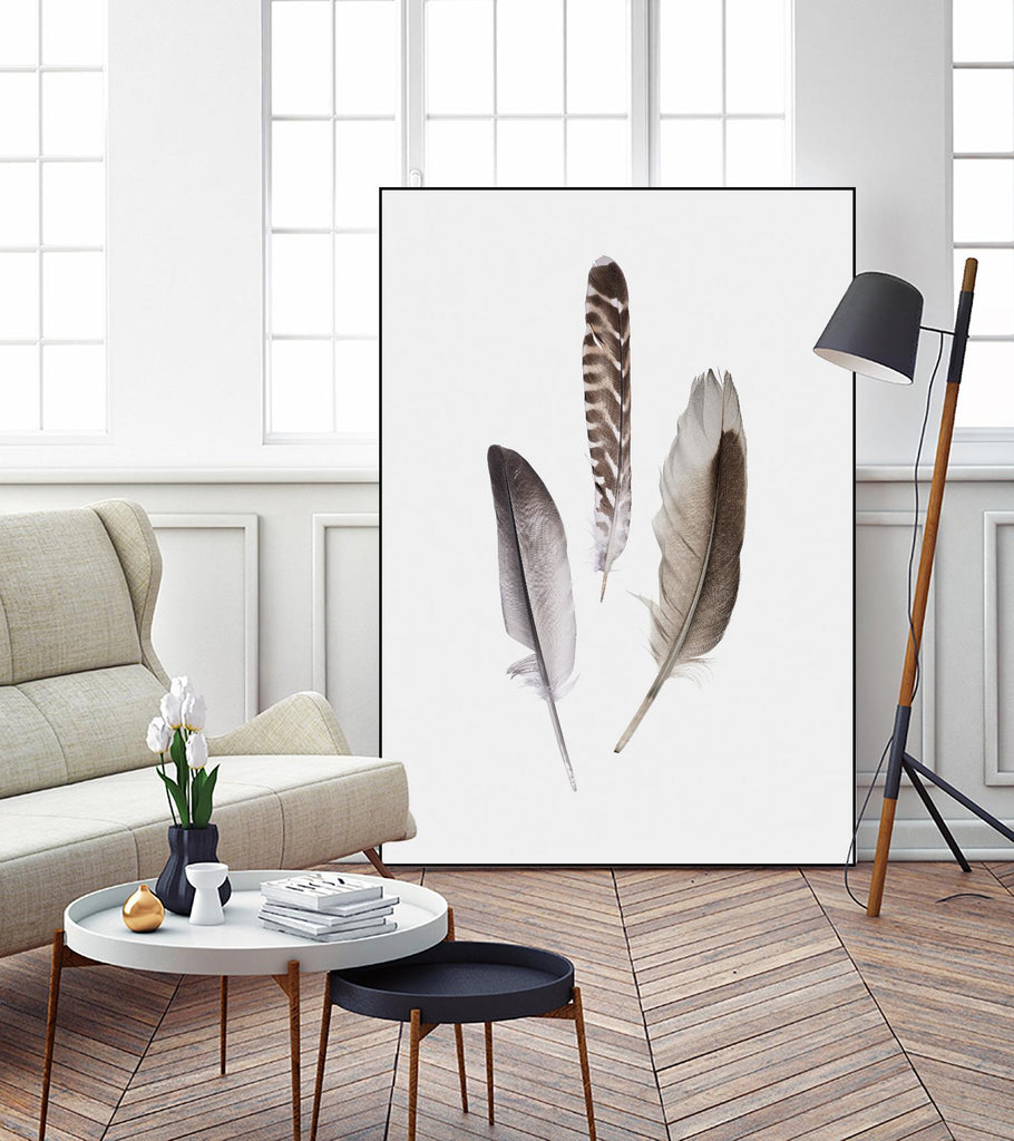 Feathers III by PI Studio on GIANT ART - brown animals