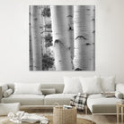 Birches in Grey I by Rick Cotter on GIANT ART - black trees