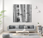 Birches in Grey I by Rick Cotter on GIANT ART - black trees