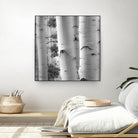 Birches in Grey I by Rick Cotter on GIANT ART - black trees