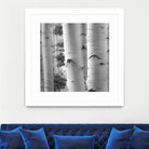 Birches in Grey I by Rick Cotter on GIANT ART - black trees