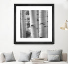 Birches in Grey I by Rick Cotter on GIANT ART - black trees
