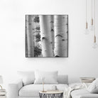 Birches in Grey I by Rick Cotter on GIANT ART - black trees