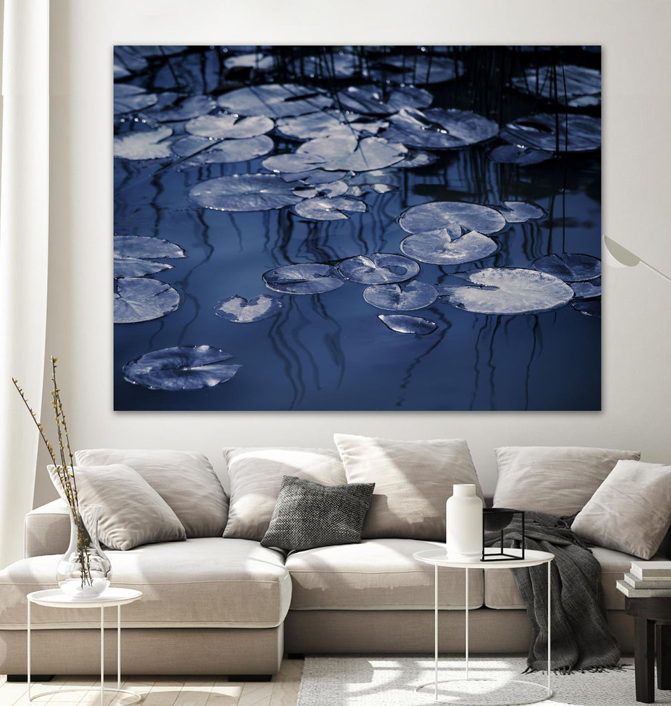 Lili Pond Blue VII by Marc Schacter on GIANT ART - grey photo art