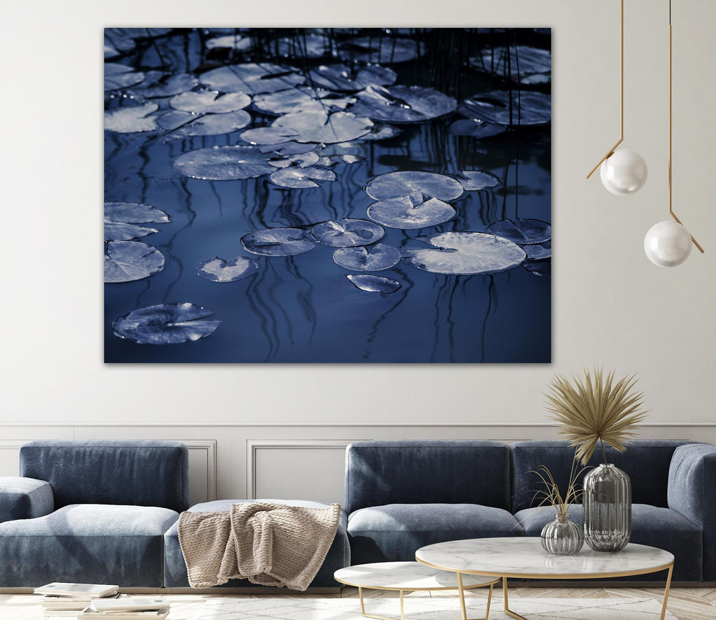 Lili Pond Blue VII by Marc Schacter on GIANT ART - grey photo art