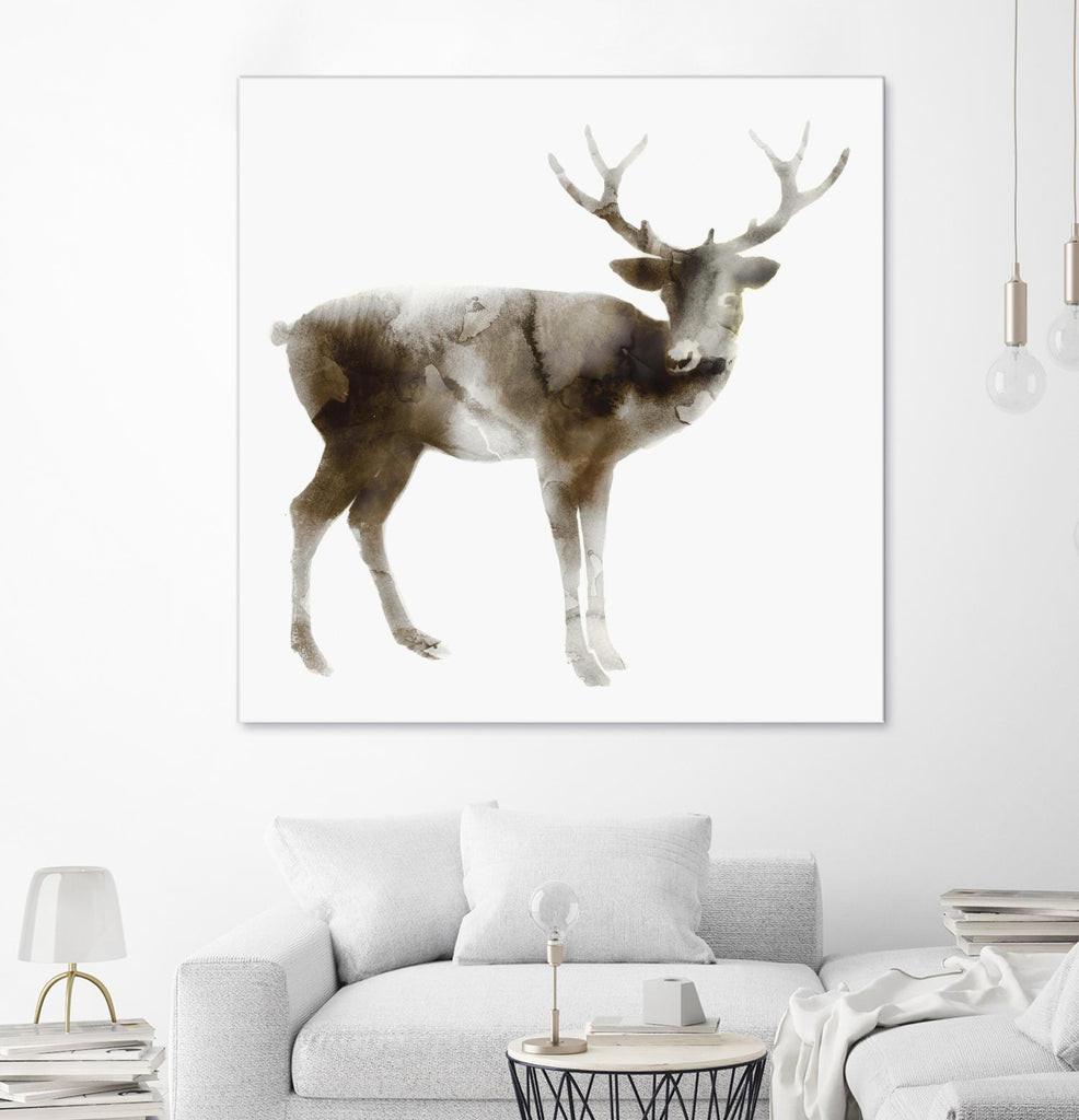 Stag by Edward Selkirk on GIANT ART - brown animals