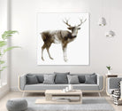 Stag by Edward Selkirk on GIANT ART - brown animals