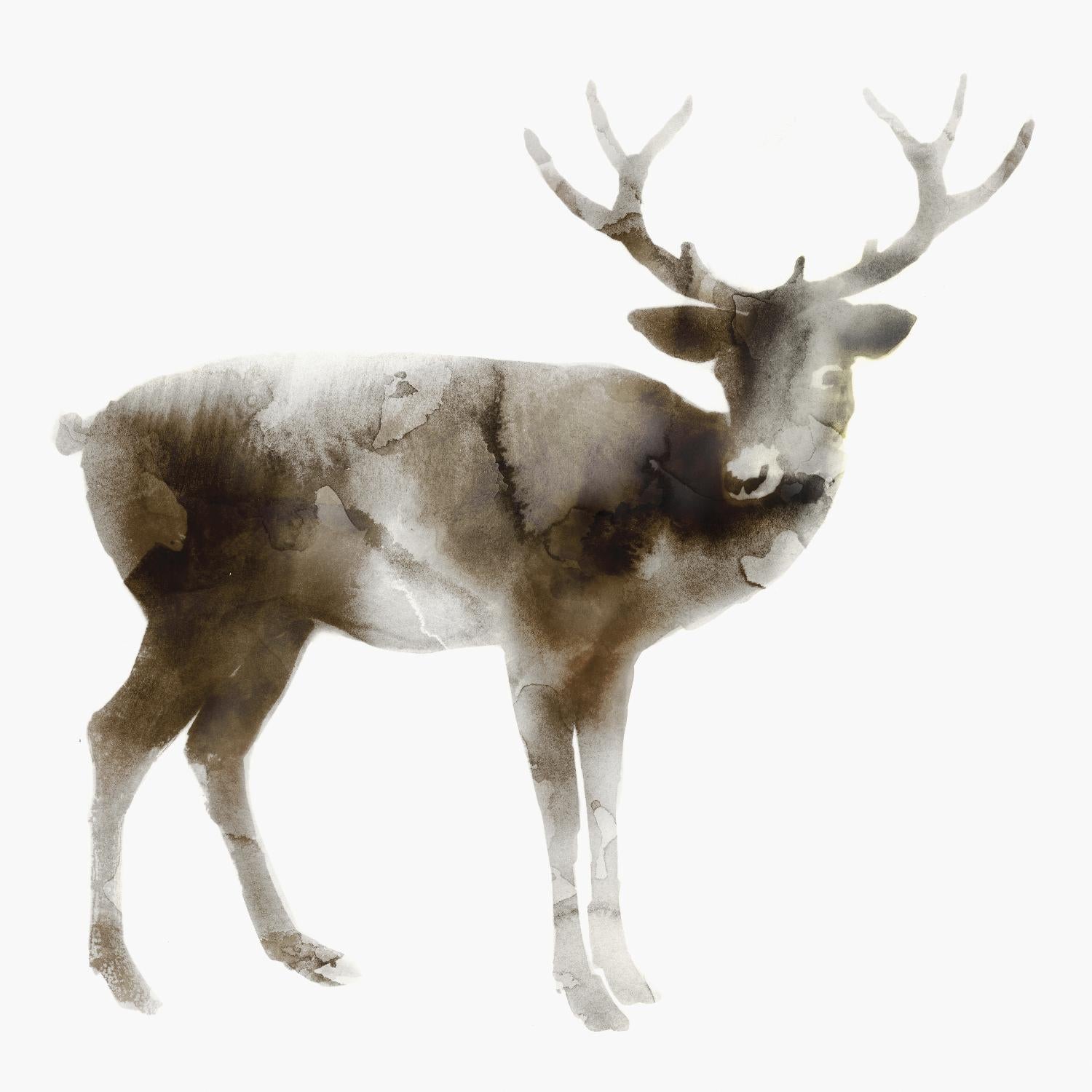 Cerf par Edward Selkirk sur GIANT ART - animaux bruns