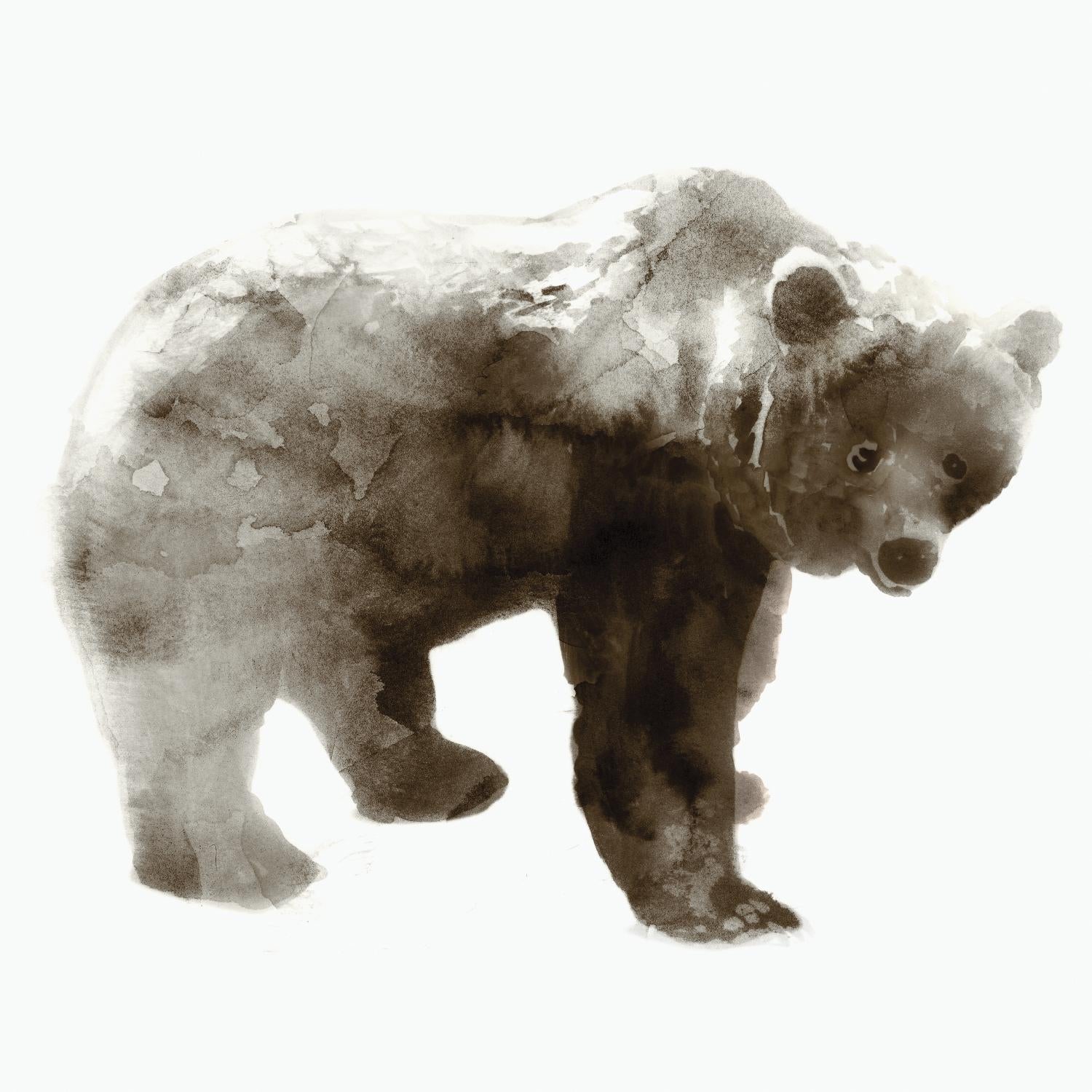 Ours par Edward Selkirk sur GIANT ART - animaux bruns