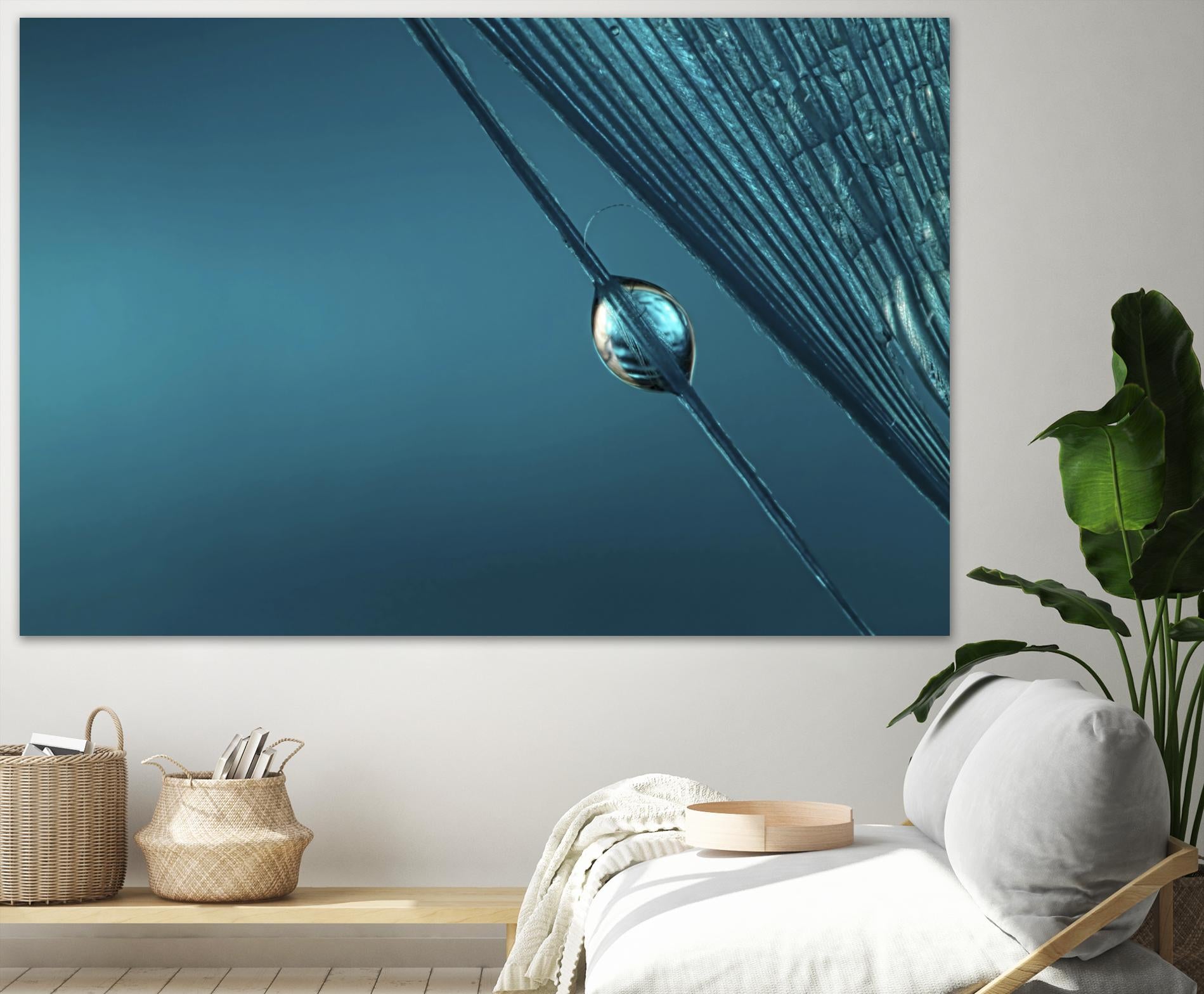 Blue by Sharon Johnstone on GIANT ART - blue photo art