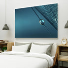 Blue by Sharon Johnstone on GIANT ART - blue photo art