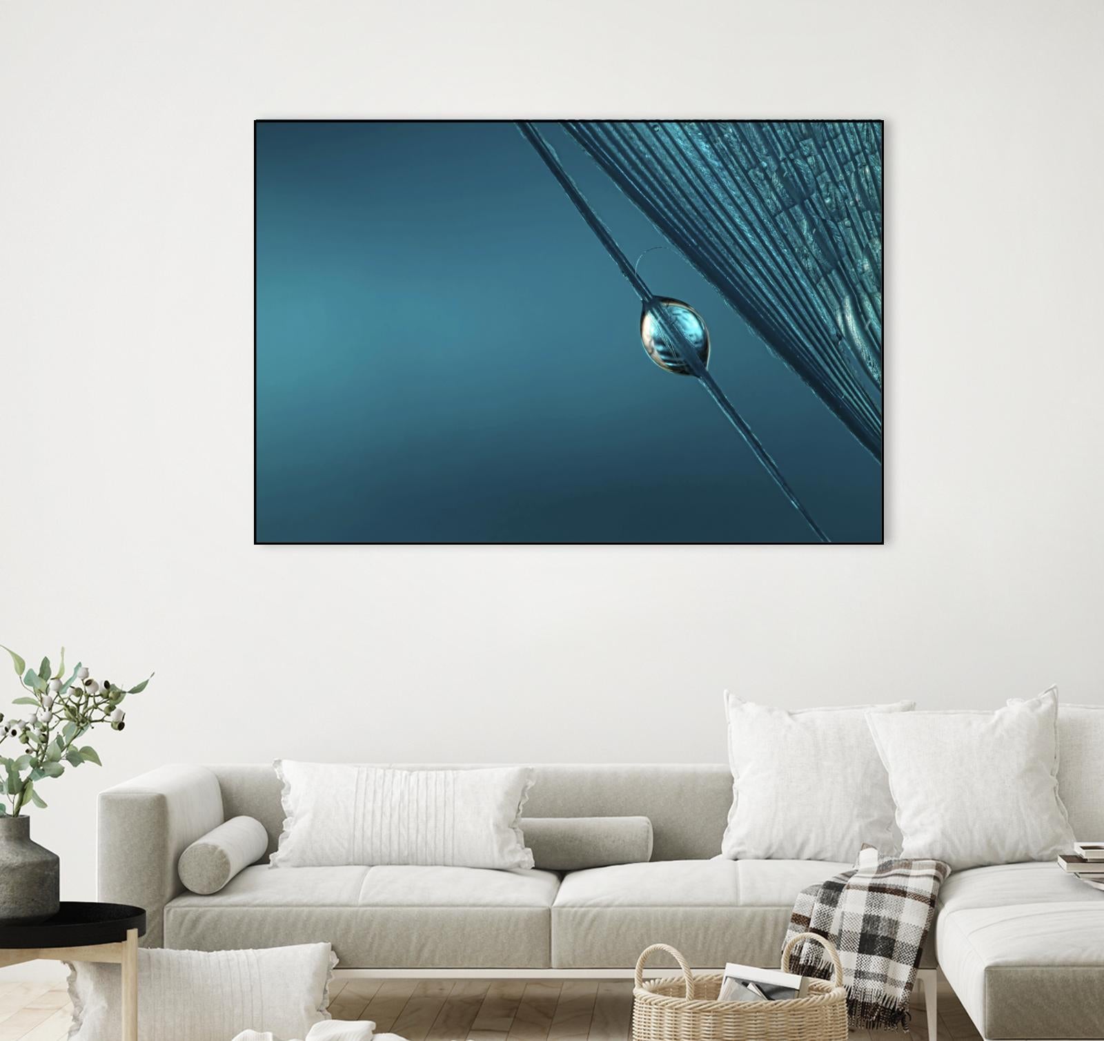 Blue by Sharon Johnstone on GIANT ART - blue photo art