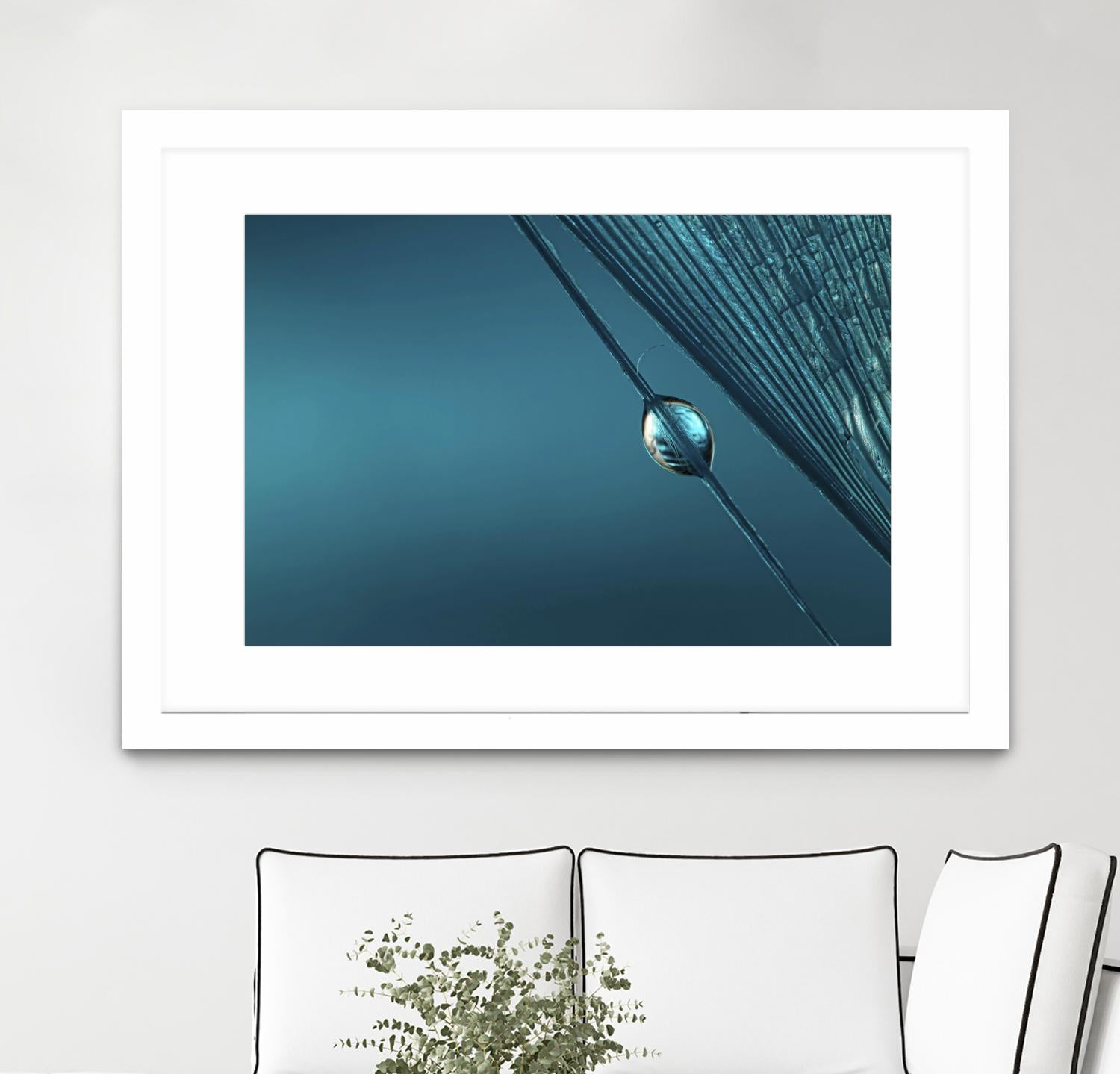 Blue by Sharon Johnstone on GIANT ART - blue photo art