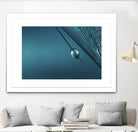 Blue by Sharon Johnstone on GIANT ART - blue photo art