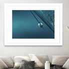 Blue by Sharon Johnstone on GIANT ART - blue photo art