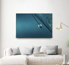 Blue by Sharon Johnstone on GIANT ART - blue photo art