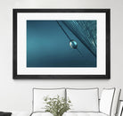 Blue by Sharon Johnstone on GIANT ART - blue photo art