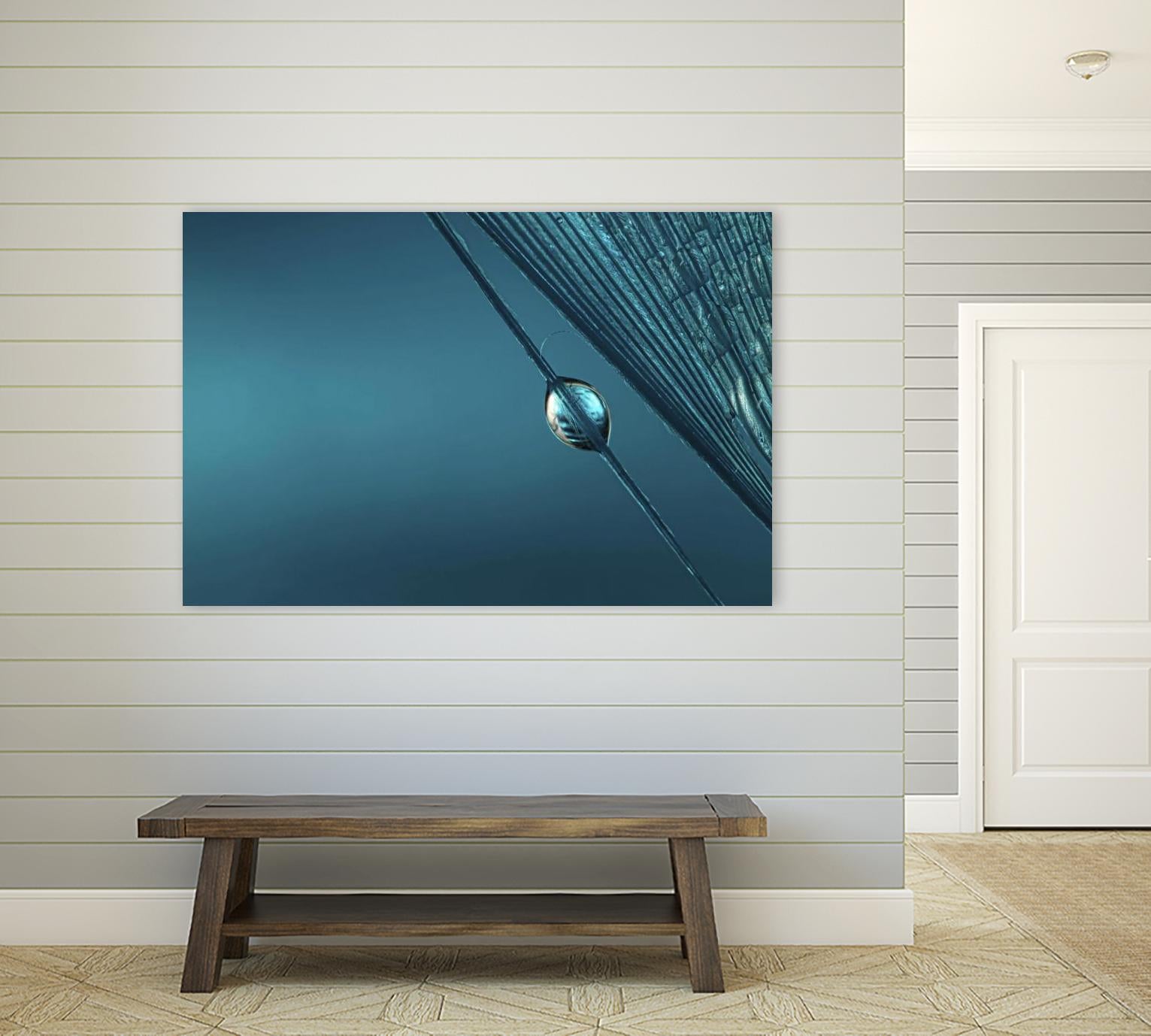 Blue by Sharon Johnstone on GIANT ART - blue photo art