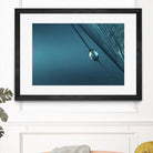 Blue by Sharon Johnstone on GIANT ART - blue photo art