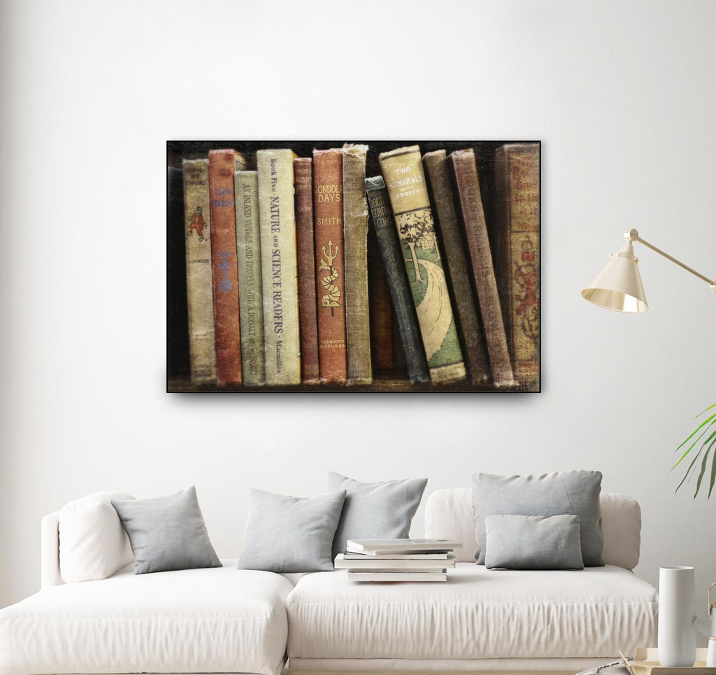 Vintage Book Collection III by Sylvia Cook on GIANT ART - white leisure