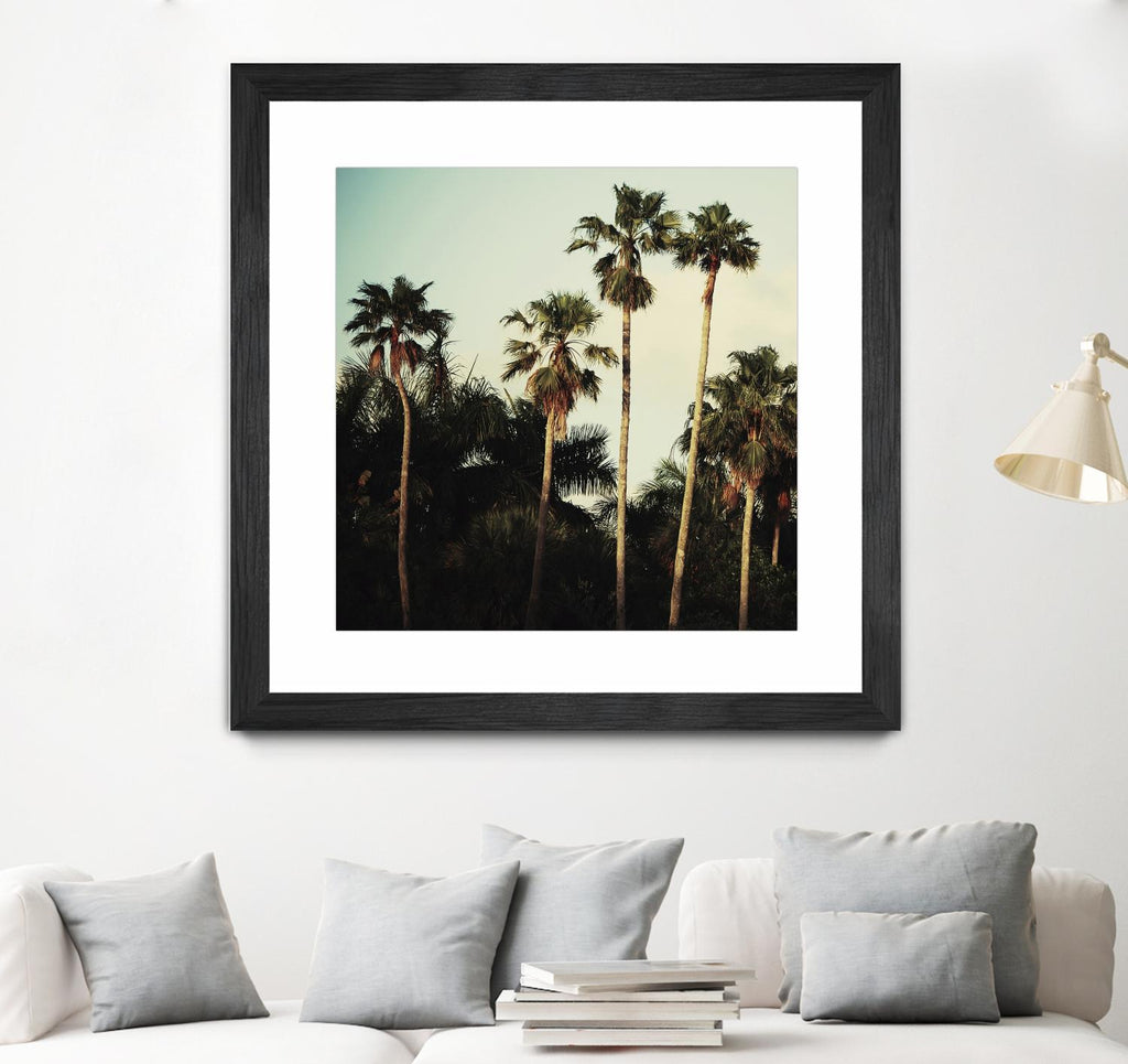 Beverly Hills I par Chelsea Victoria sur GIANT ART - palmier vert botanique