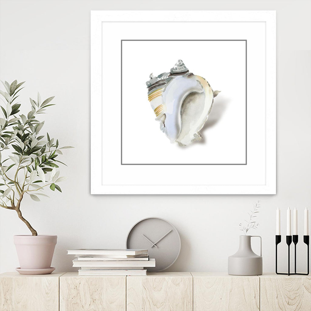 Seafoam Shell by Aimee Wilson on GIANT ART - abstract