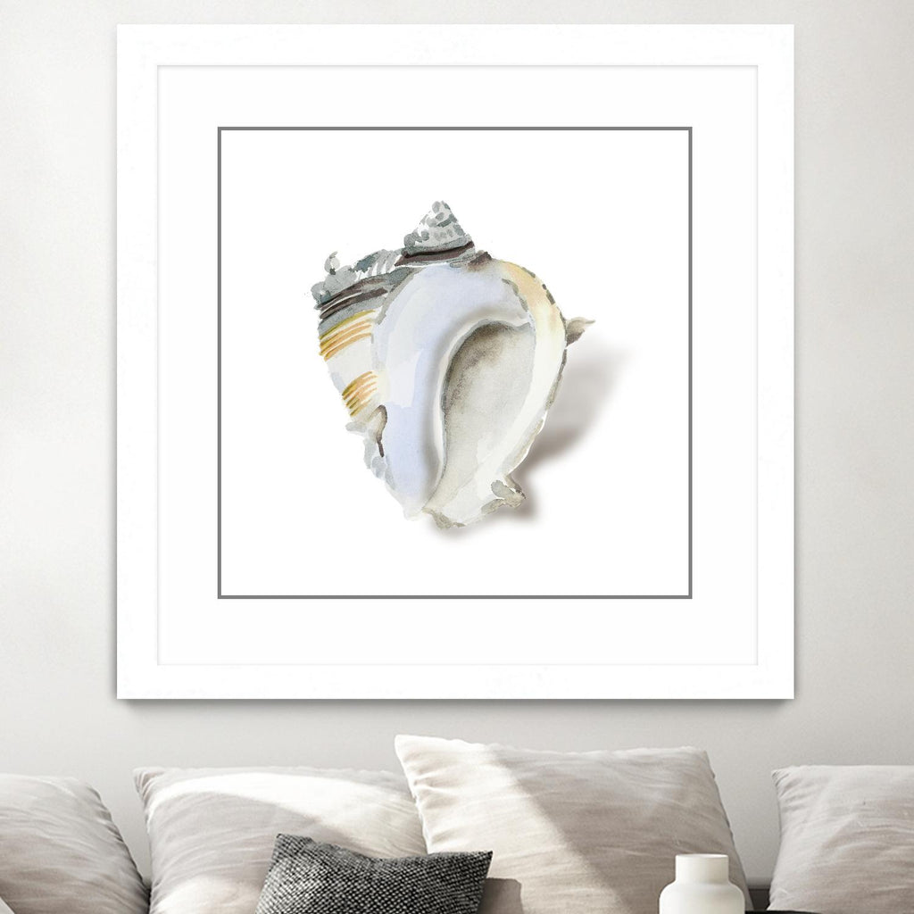 Seafoam Shell par Aimee Wilson sur GIANT ART - abstrait