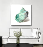 Shell in Mint by Aimee Wilson on GIANT ART - abstract