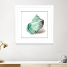 Shell in Mint by Aimee Wilson on GIANT ART - abstract