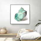 Shell in Mint by Aimee Wilson on GIANT ART - abstract