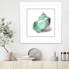 Shell in Mint by Aimee Wilson on GIANT ART - abstract
