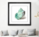 Shell in Mint by Aimee Wilson on GIANT ART - abstract