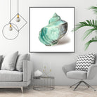 Shell in Mint by Aimee Wilson on GIANT ART - abstract