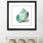 Shell in Mint by Aimee Wilson on GIANT ART - abstract